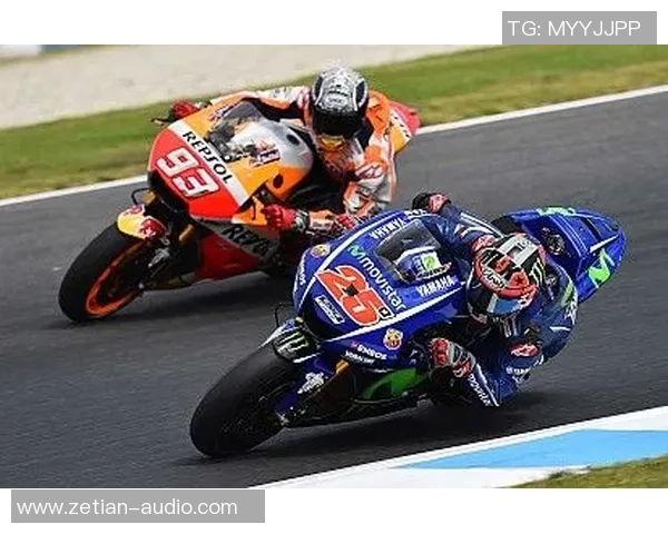 阿尔瑞法与穆哈瑞克的精彩对决分析与赛后点评